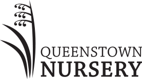 Queenstown Nursery